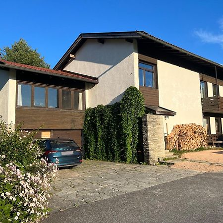 Appartamento Haus Im Gruenen Saalfelden Esterno foto